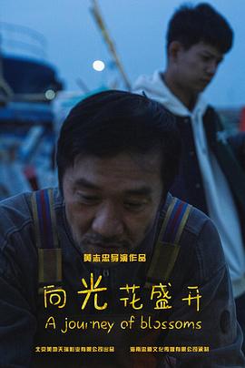 向光花盛开(全集)
