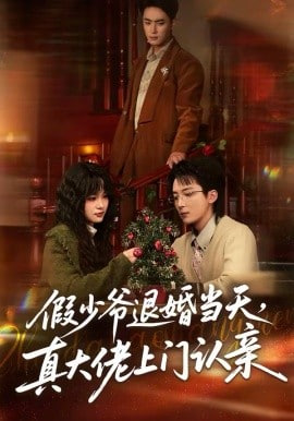 假少爷退婚当天，真大佬上门认亲(全集)