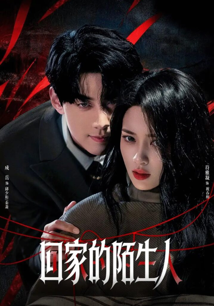 回家的陌生人(全集)